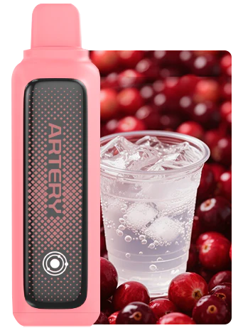 Artery CL2 10k Puff Disposable