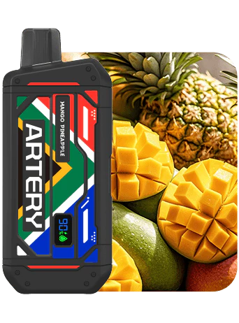 Artery CS5 25k Puff Disposable