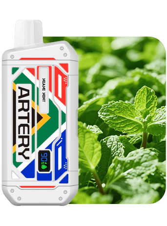 Artery CS5 25k Puff Disposable