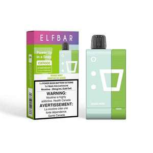 ElfBar EW9000 Kit